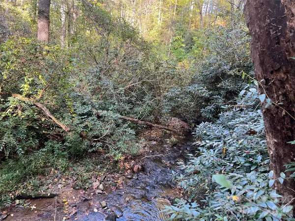 6 Dividing Ridge TRL #01, Arden, NC 28704
