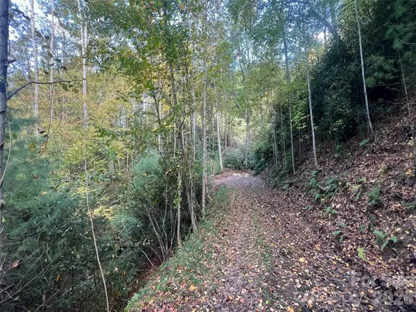 6 Dividing Ridge TRL #01, Arden, NC 28704