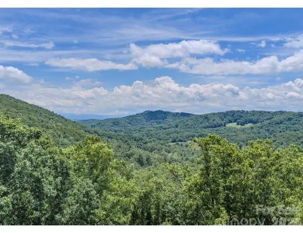 10 Fall Mountain RD #56, Asheville, NC 28803