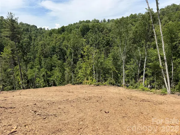 19 Villa Nova DR, Asheville, NC 28804
