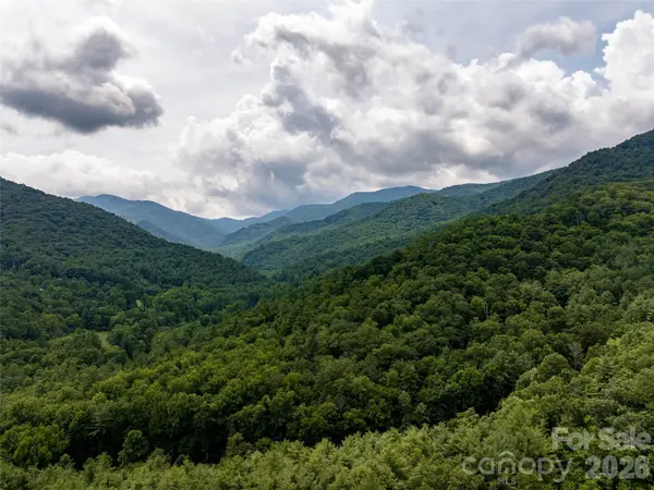 00 Lake Logan RD, Canton, NC 28716