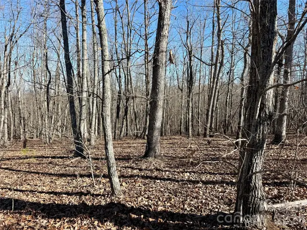 108 Woodgate TRL #94, Nebo, NC 28761