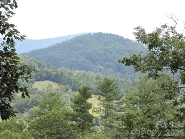 357 Rosewood LN, Burnsville, NC 28714