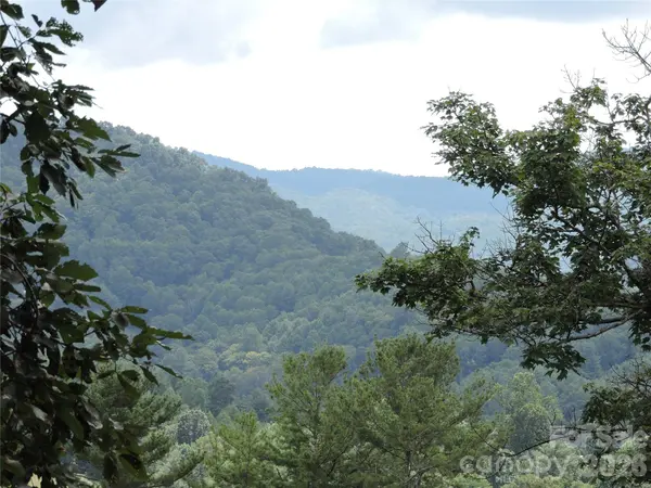 357 Rosewood LN, Burnsville, NC 28714