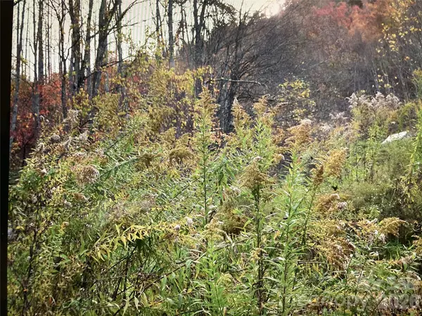 TBD Prices Creek RD, Burnsville, NC 28714