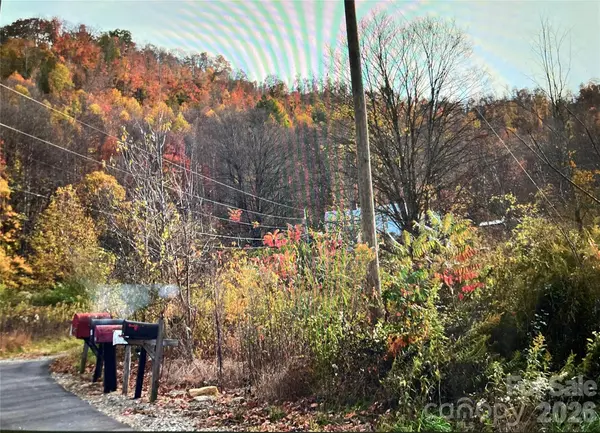TBD Prices Creek RD, Burnsville, NC 28714