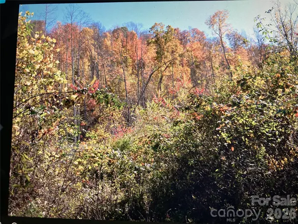 TBD Prices Creek RD, Burnsville, NC 28714
