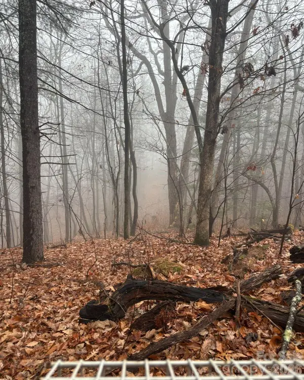 TBD Boone Gap LN, Taylorsville, NC 28681