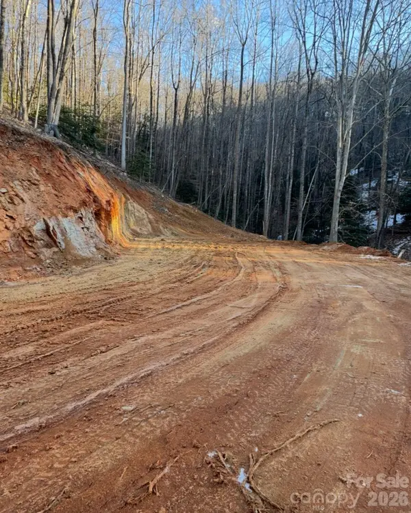 TBD Boone Gap LN, Taylorsville, NC 28681