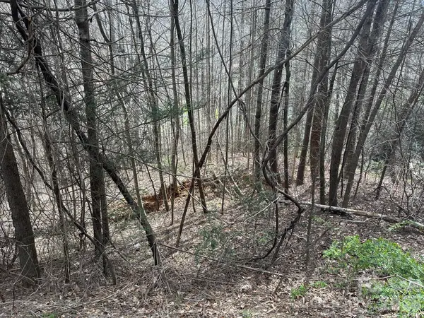 0 Tuckaway Ridge DR, Hendersonville, NC 28792