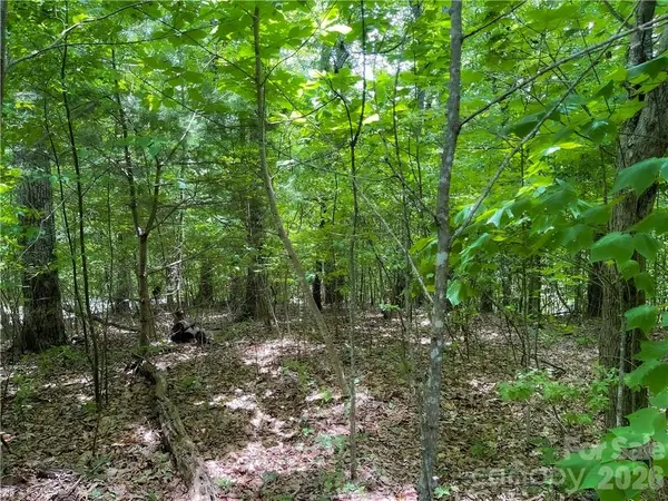 L-36 Saint Moritz LN #Lot 36, Spruce Pine, NC 28749