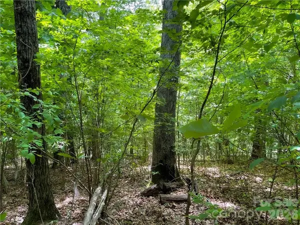 L-36 Saint Moritz LN #Lot 36, Spruce Pine, NC 28749