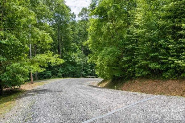 L-36 Saint Moritz LN #Lot 36, Spruce Pine, NC 28749