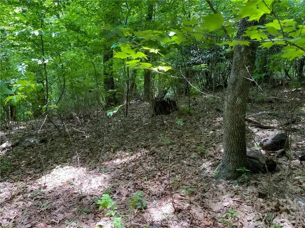 L-36 Saint Moritz LN #Lot 36, Spruce Pine, NC 28749