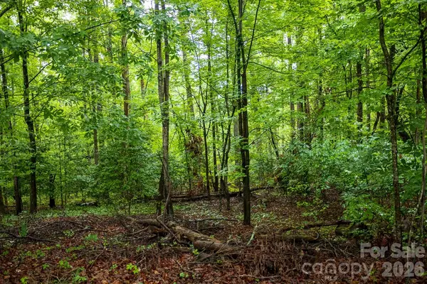 1225 Moss RD, Rutherfordton, NC 28139