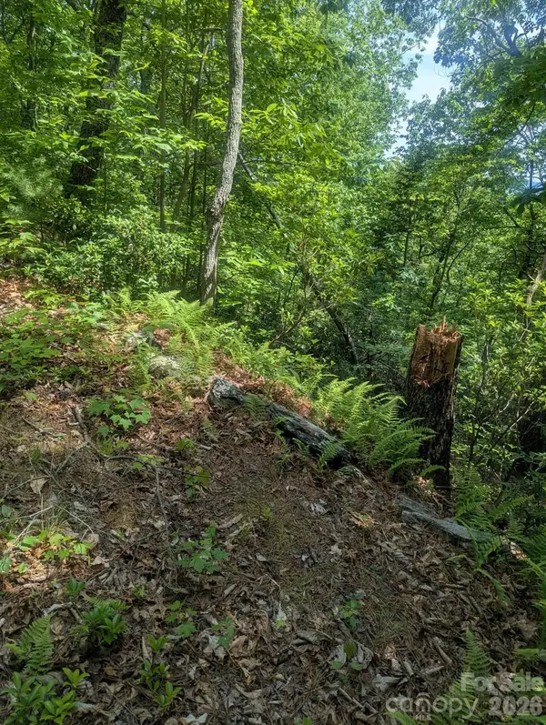 1662 Penley RD, Lenoir, NC 28645