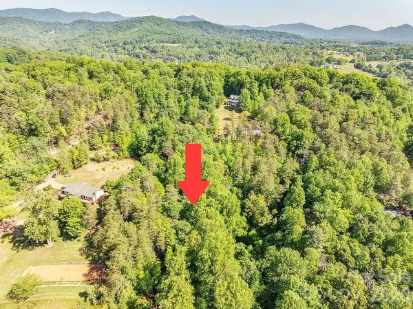 99999 Suddreth LN, Candler, NC 28715