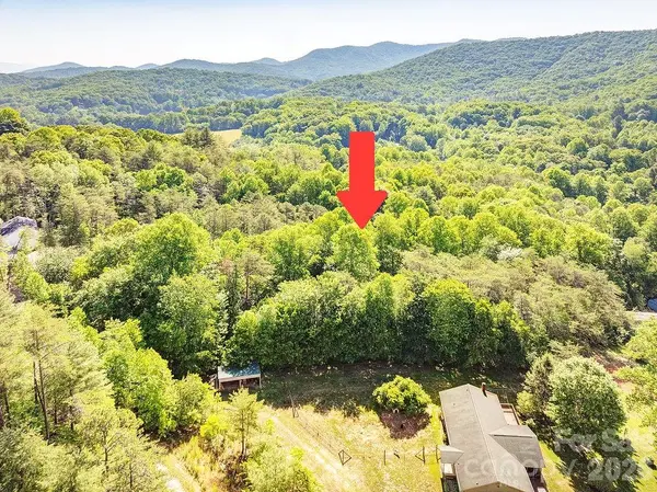 99999 Suddreth LN, Candler, NC 28715