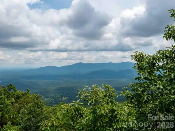 288 Eastman PL, Mill Spring, NC 28756