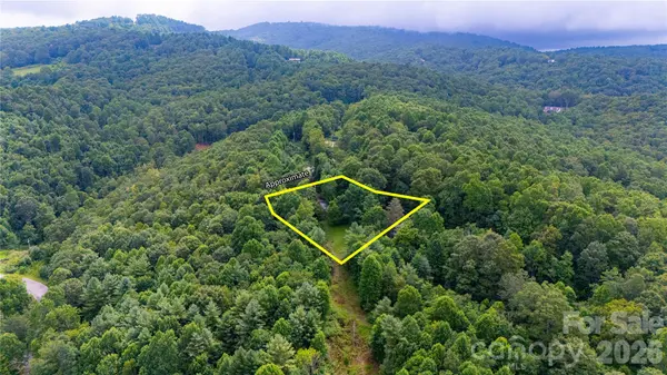 572 Blue Ridge Gem Stone RD, Spruce Pine, NC 28777