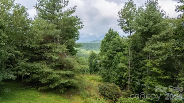 572 Blue Ridge Gem Stone RD, Spruce Pine, NC 28777