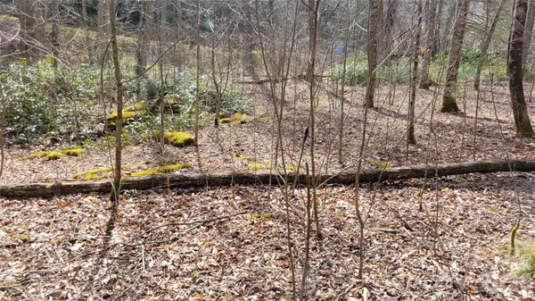 112 Rainbow Trout RD, Burnsville, NC 28714