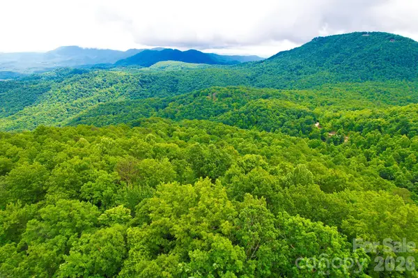 215 Laurel Mountain TRL #10, Black Mountain, NC 28711