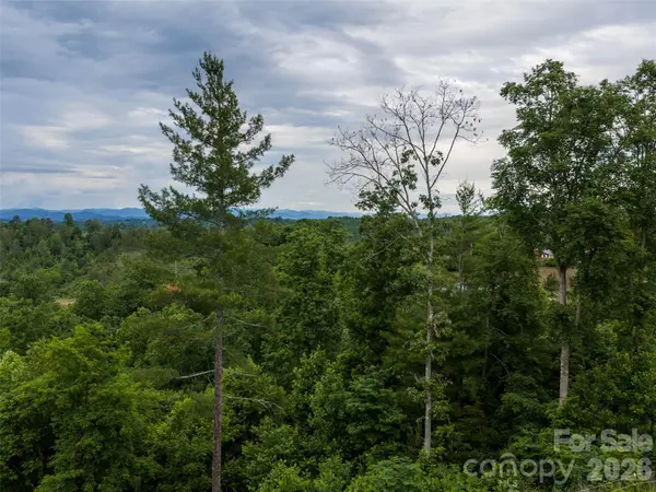 21 Joy Hughes LN, Leicester, NC 28748