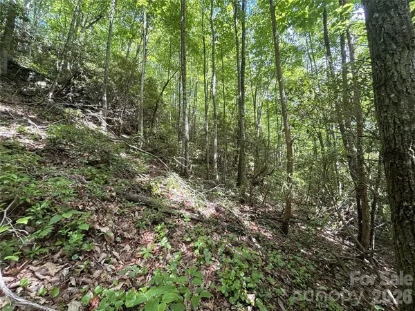 000 Valley View DR, Maggie Valley, NC 28751