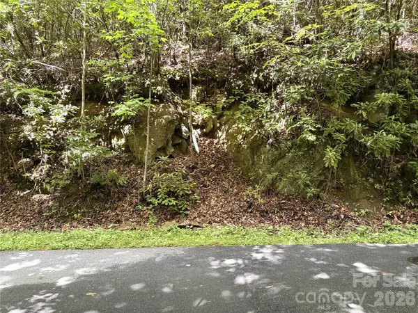 000 Valley View DR, Maggie Valley, NC 28751