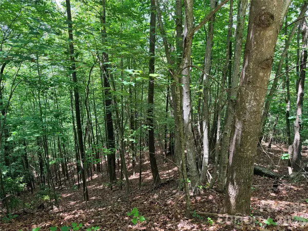 TBD Warren WAY #132A, Purlear, NC 28665