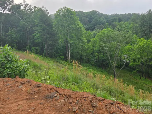 374 Big Branch DR #Lot 2 D, Mars Hill, NC 28754