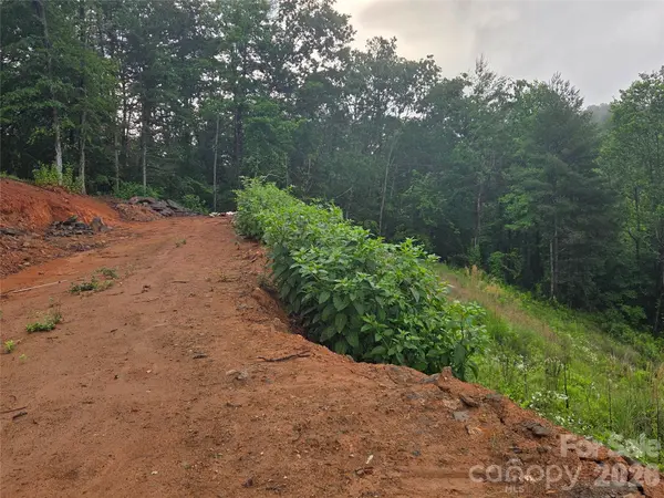 374 Big Branch DR #Lot 2 D, Mars Hill, NC 28754