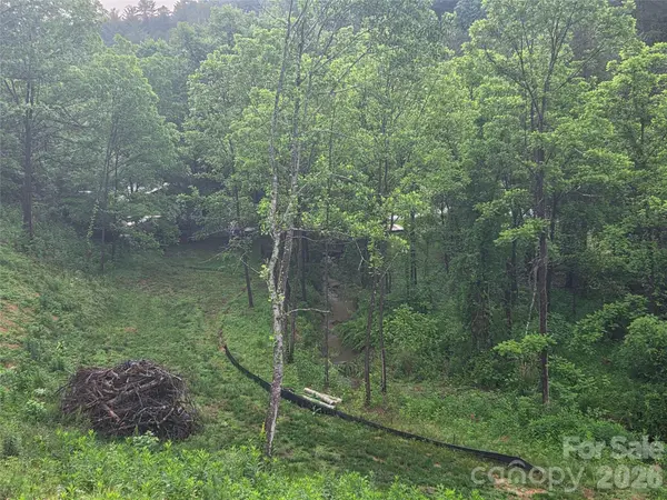 374 Big Branch DR #Lot 2 D, Mars Hill, NC 28754