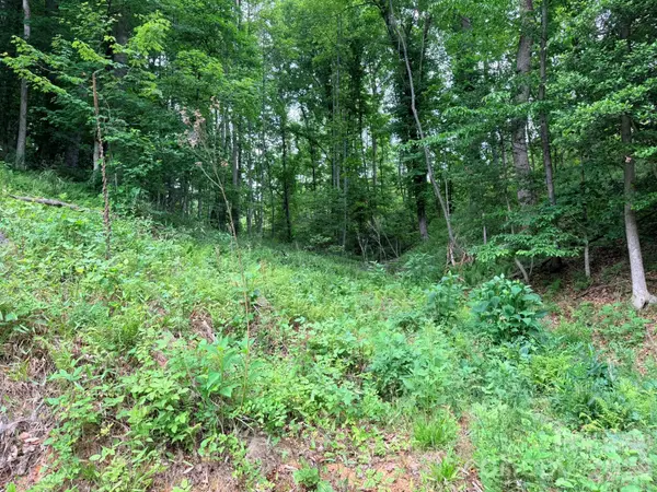 TBD N Marley Ford RD, Ferguson, NC 28624