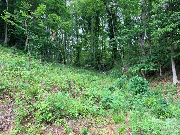 TBD N Marley Ford RD, Ferguson, NC 28624