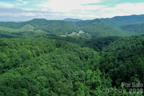 1299 Pine Ridge RD, Burnsville, NC 28714