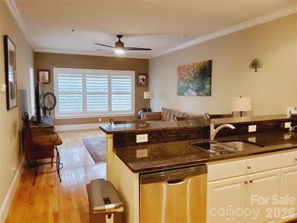 155 S Lexington AVE #203, Asheville, NC 28801