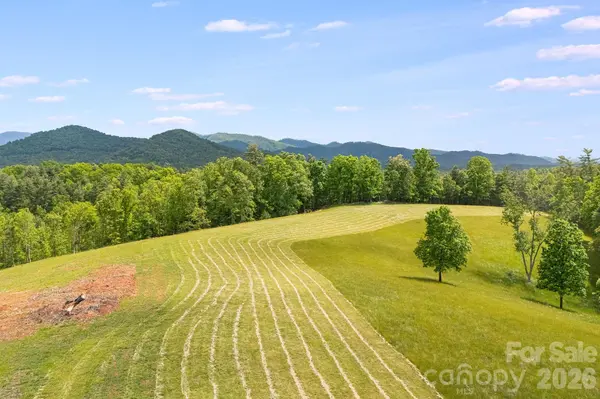 TBD California Creek RD, Mars Hill, NC 28754