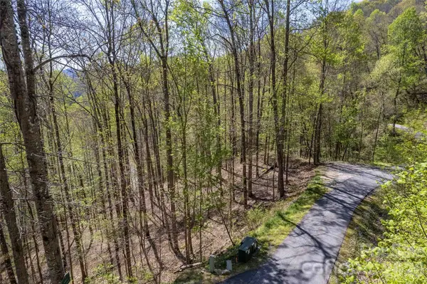 Lot 277 Pepperbush LN #277, Tuckasegee, NC 28783