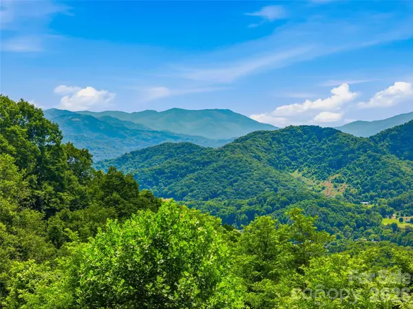 1877 Wilson Cove RD, Canton, NC 28716