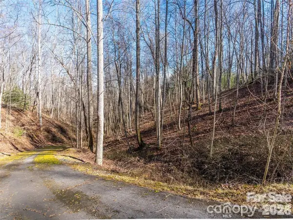 19 & 20 Marcus Ridge DR #26/34, Fairview, NC 28730