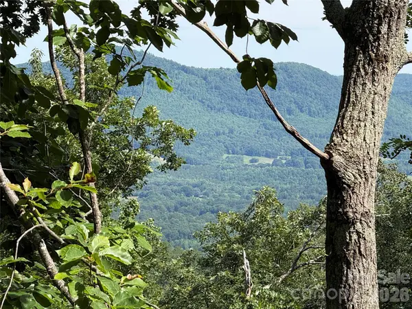 0 Arbra Mountain WAY #54, Bostic, NC 28018
