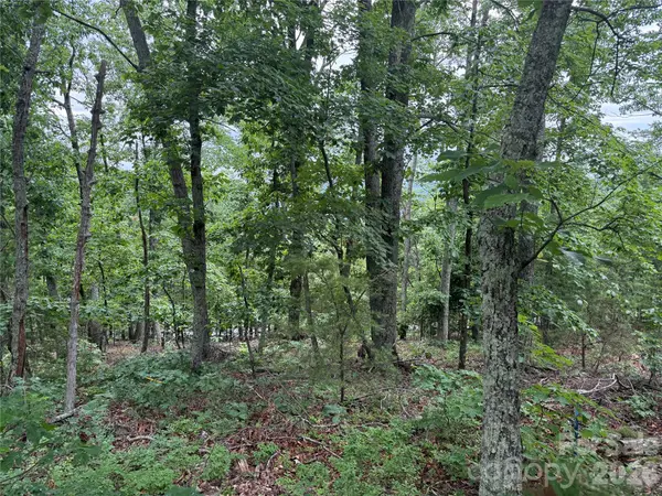 0 Arbra Mountain WAY #54, Bostic, NC 28018