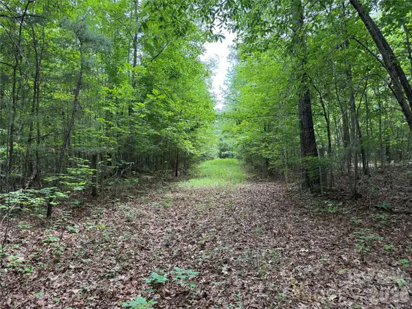 0 Herbert Faucette RD, Bullock, NC 27507