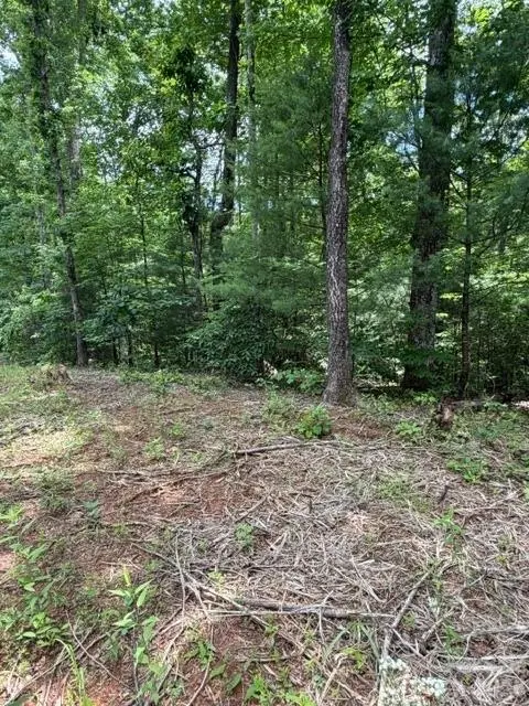 0 Country WAY, Lake Lure, NC 28746