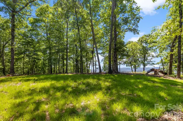 9999 Rocky Mountain RD, Lake Toxaway, NC 28747