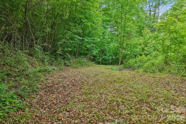 00 Sequoyah DR, Waynesville, NC 29786