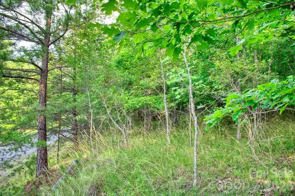 0 Cross Creek DR #68, Rutherfordton, NC 28139