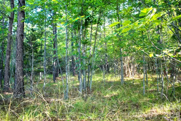 0 Cross Creek DR #68, Rutherfordton, NC 28139